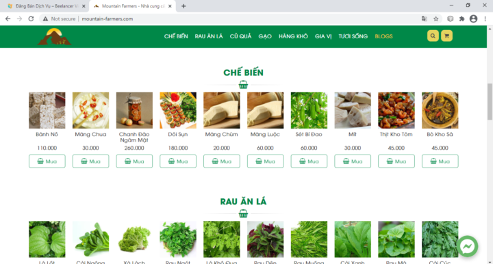 Lập Trình Website Bán Hàng, Dịch Vụ, Giá Cả Cạnh Tranh