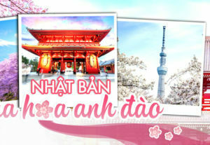 35591Thiết Kế Banner Facebook/Website