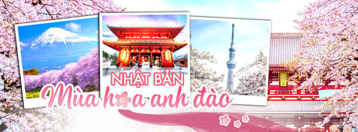Thiết Kế Banner Facebook/Website
