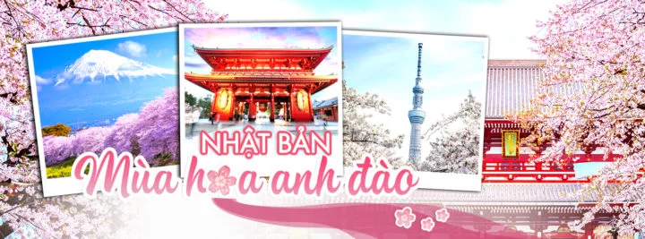 Thiết Kế Banner Facebook/Website