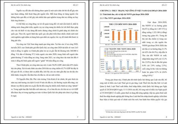 Định Dạng Và Nhập Liệu Word Và Excel Giá Sinh Viên