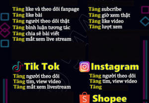 47785Tăng Like,Tăng theo dõi facebook,Tik Tok,youtube và instagram